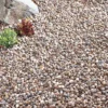 Kelkay Bulk Bag Quartzite Pea Gravel 10mm 2 Kelkay Bulk Bag Quartzite Pea Gravel 10mm -Garden Care Supply Store kelkay bulk bag quartzite pea gravel 10mm 1536x1536 61f351e0dba4b l