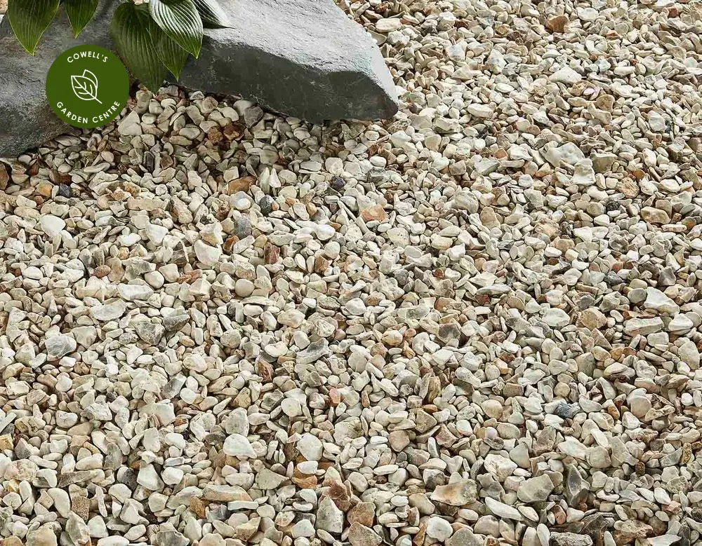 Kelkay Bulk Bag Yorkshire Cream 3 Kelkay Bulk Bag Yorkshire Cream