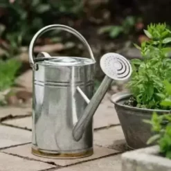 Kent & Stowe Metal Galvanised Steel Watering Can 5 Kent & Stowe Metal Galvanised Steel Watering Can -Garden Care Supply Store kent stowe metal galvanised steel watering can 1619000870 450x450 61f2fadc8ea9f l