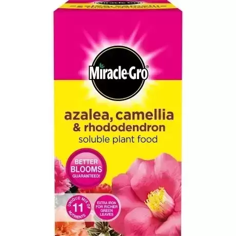 Miracle-Gro Azalea, Camellia & Rhododendron Plant Food 1kg 3 Miracle-Gro Azalea, Camellia & Rhododendron Plant Food 1kg