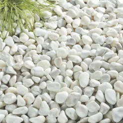 Pearl White Cobbles 7 Pearl White Cobbles -Garden Care Supply Store pearl white cobbles 1536x1536 61f3555be363f l