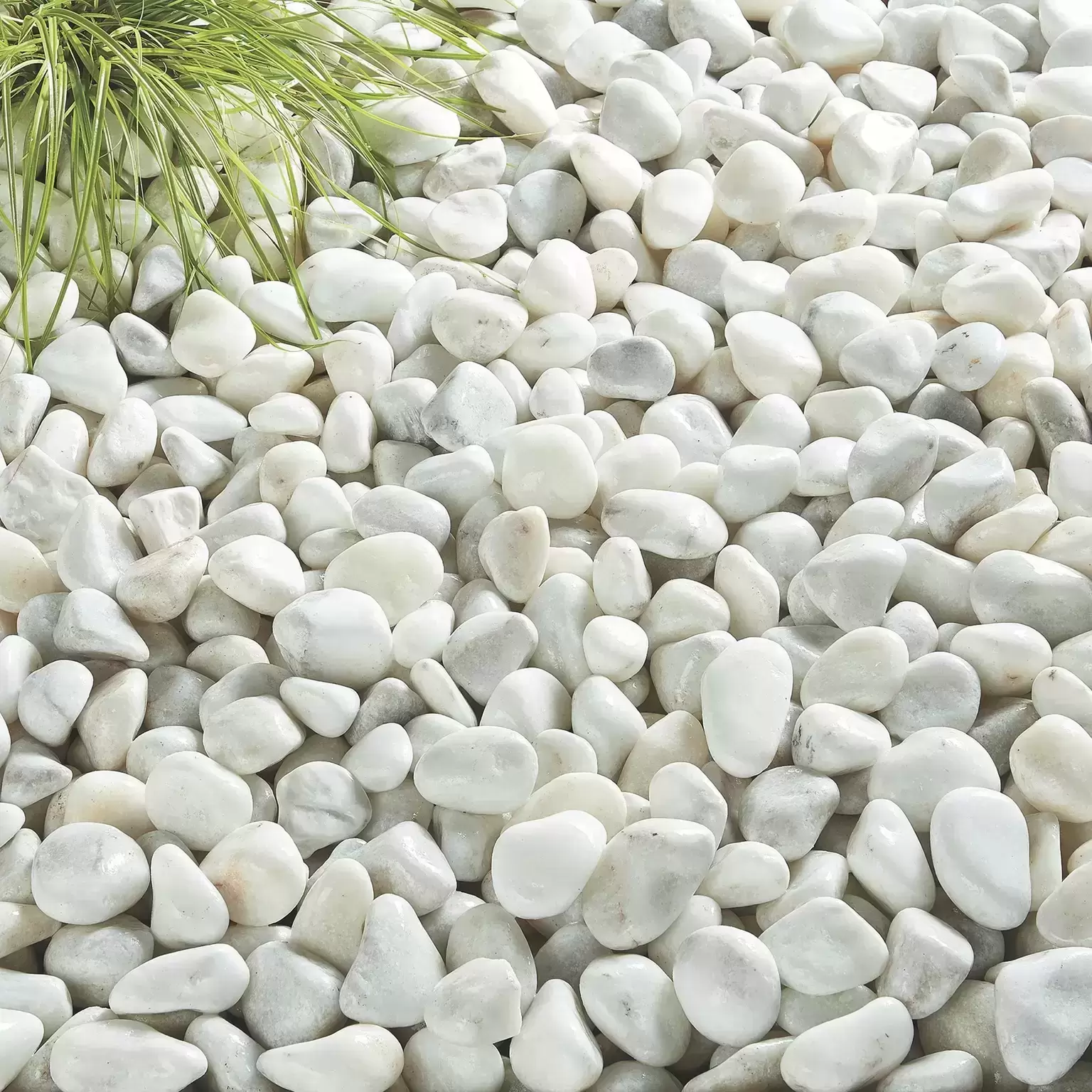 Pearl White Cobbles 5 Pearl White Cobbles - Image 3