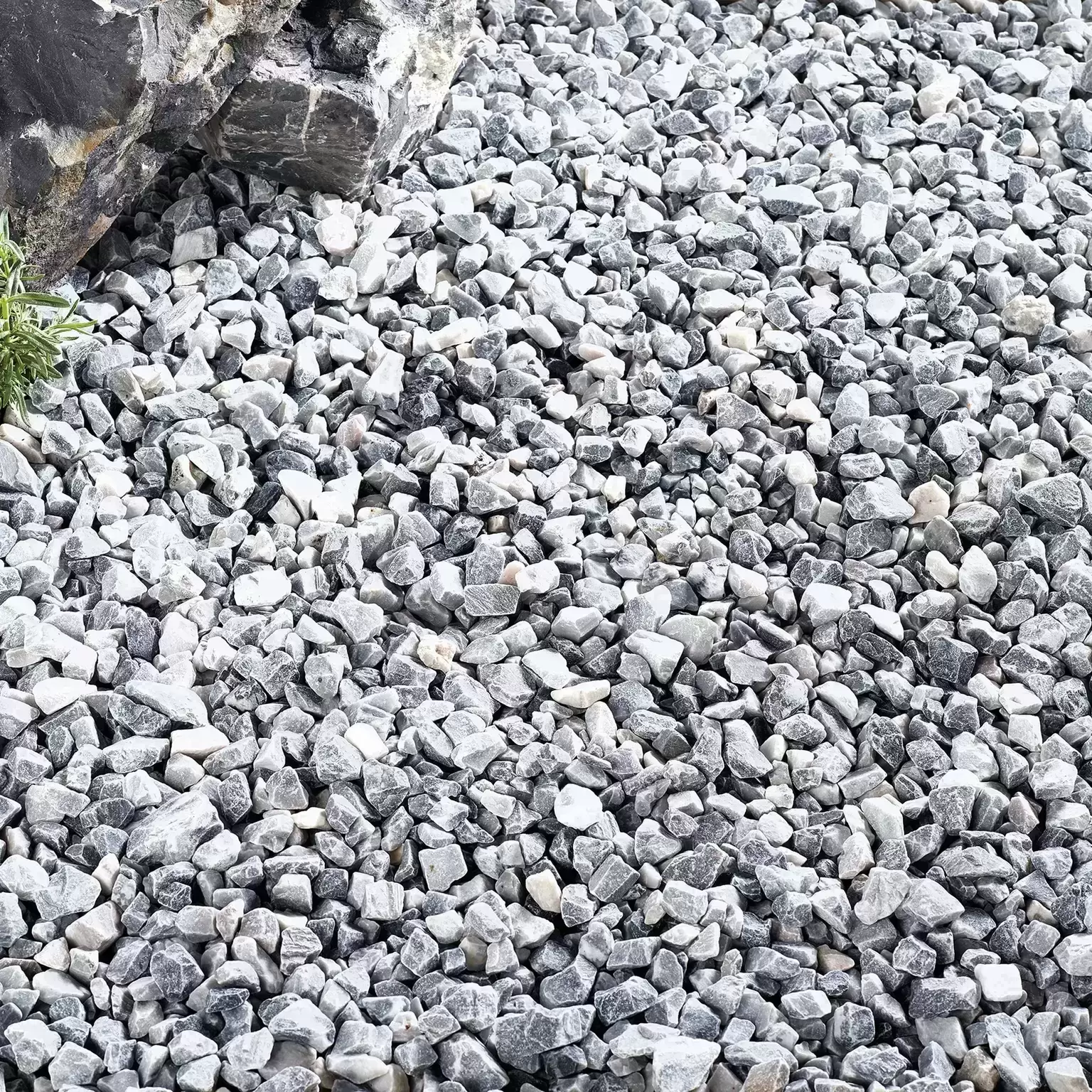 Swiss Glacier 4 Swiss Glacier - Image 2