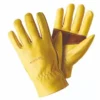 Gloves - Ultimate Golden Leather Med / Size 8