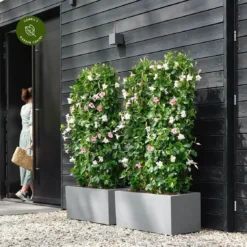 Vivo Next Long 60cm Living Concrete Planter 7 Vivo Next Long 60cm Living Concrete Planter -Garden Care Supply Store vivo next long living concrete planter 1121x1121 641acc20690a0 l