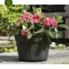 Whiskey Barrel Planter - Medium 2 Whiskey Barrel Planter - Medium -Garden Care Supply Store whiskey barrel planter medium 226x264 64d4c47017382 l