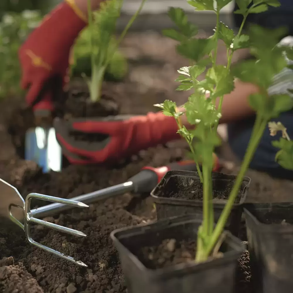 Wolf Garten Multi-Change® Mini Hoe 4 Wolf Garten Multi-Change® Mini Hoe - Image 2