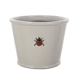 Woodlodge Red Ladybird Pot 19cm