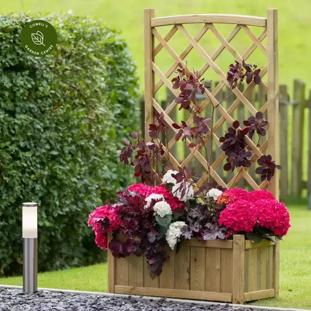 Zest Cambridge Planter 3 Zest Cambridge Planter