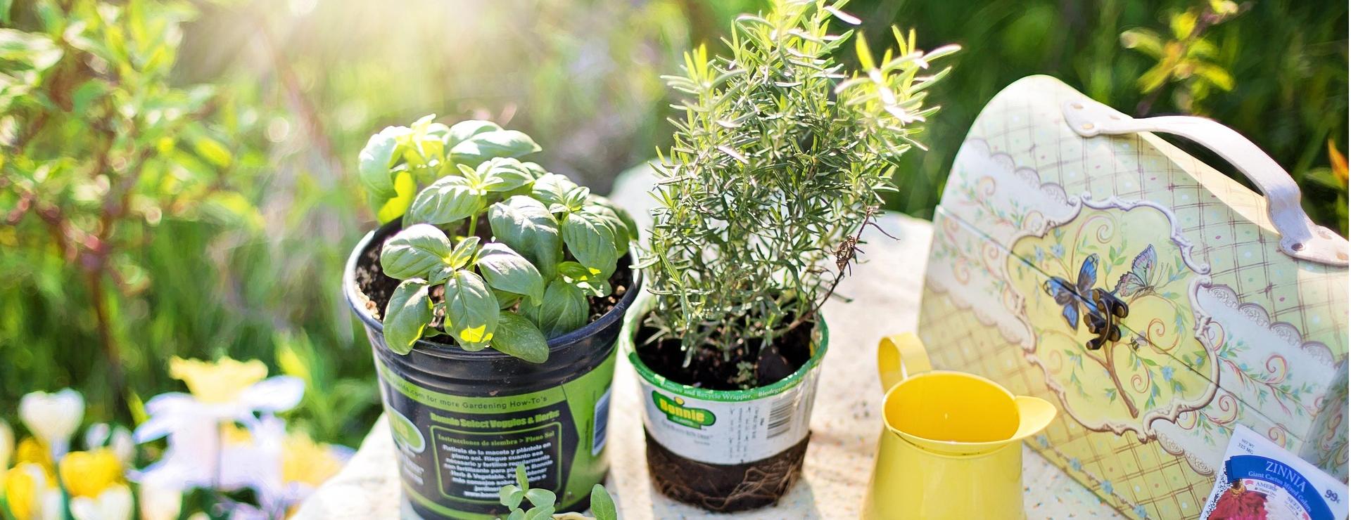 Garden Care Supply Store 1 Garden Care Supply Store -Garden Care Supply Store planting 780736 1920